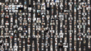 786 Filipino seafarers, ahead of their deployment to cruise and cargo ships operating in U.S. territorial waters, participated in the special virtual PDOS conducted by the MWO-OWWA WDC on September 30, 2025 in celebration of the 30th National Seafarers’ Day.